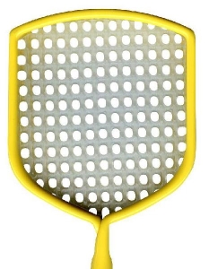 Fly Swatter Pen