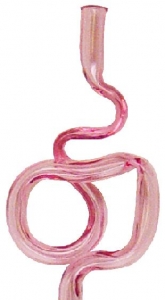 Intestines Pen