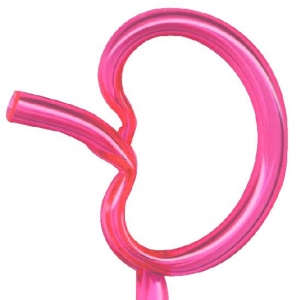 Kidney Pen