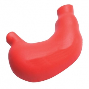 Organ best sale stress balls