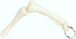 Knee Joint Bone Keyring Keychain
