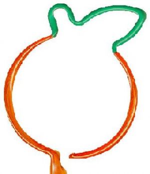 Orange Shaped Pen MC