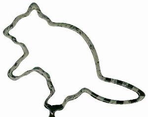 Raccoon Shaped Pen MC