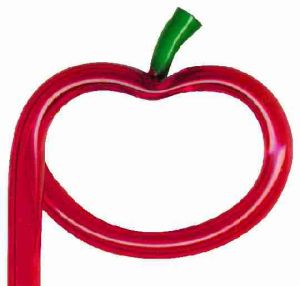 Tomato Shaped Pen MC